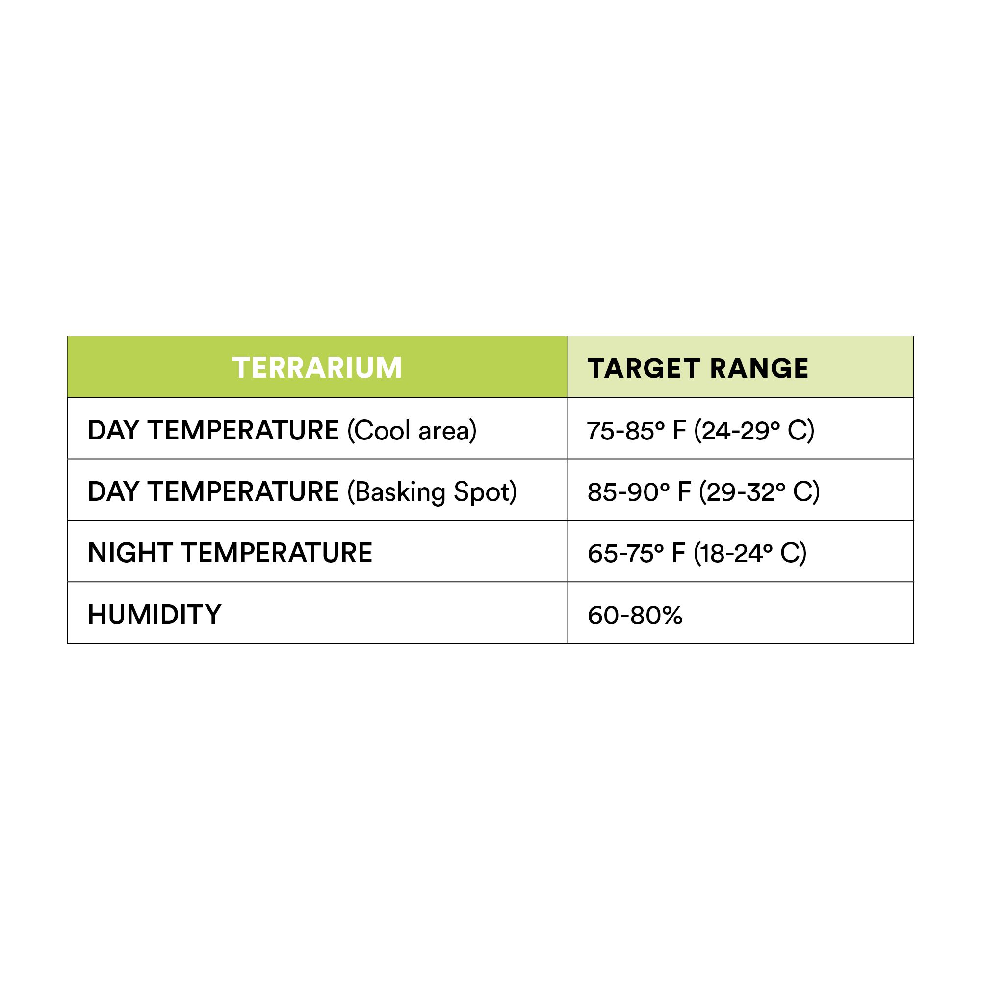 petsmart green anole