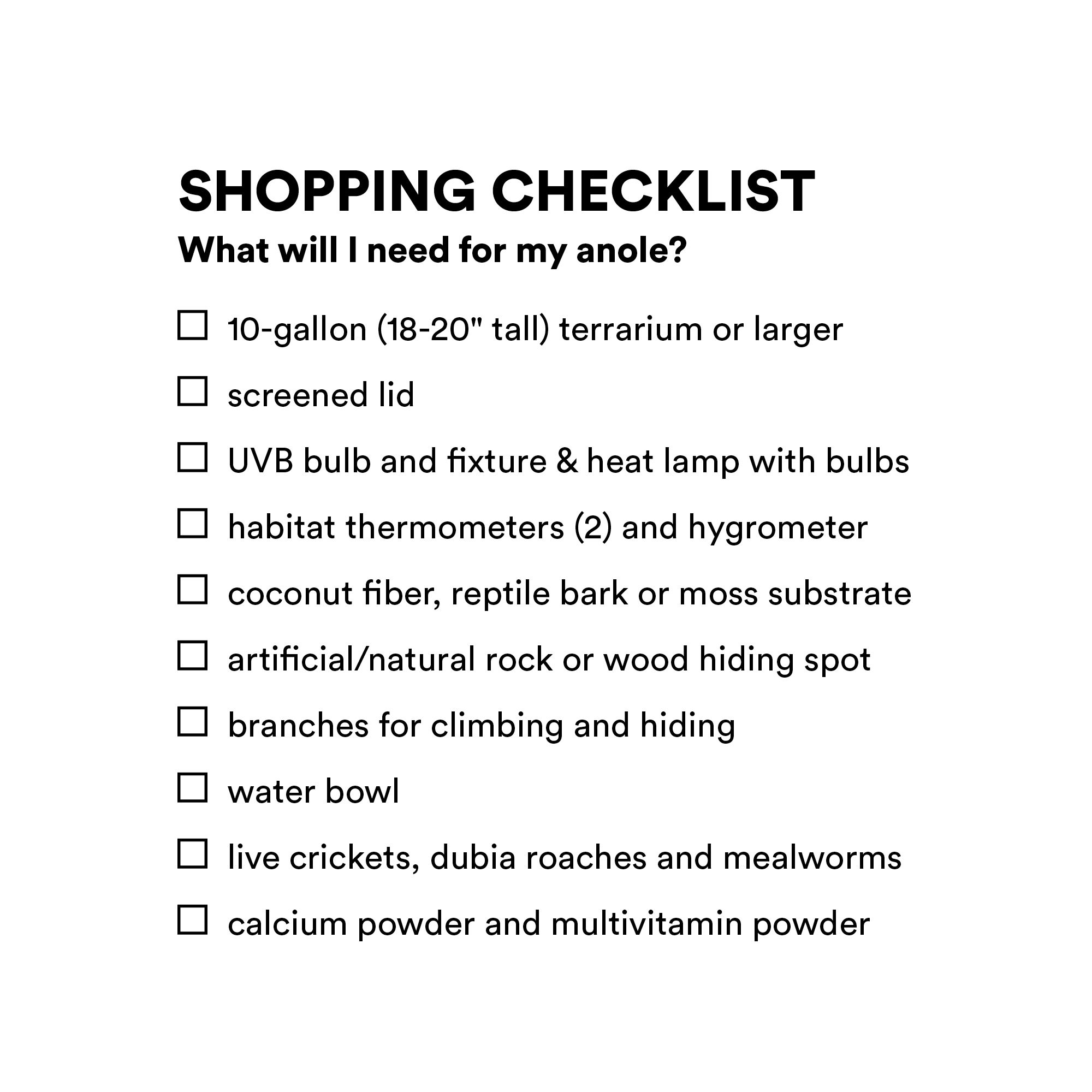 petsmart green anole