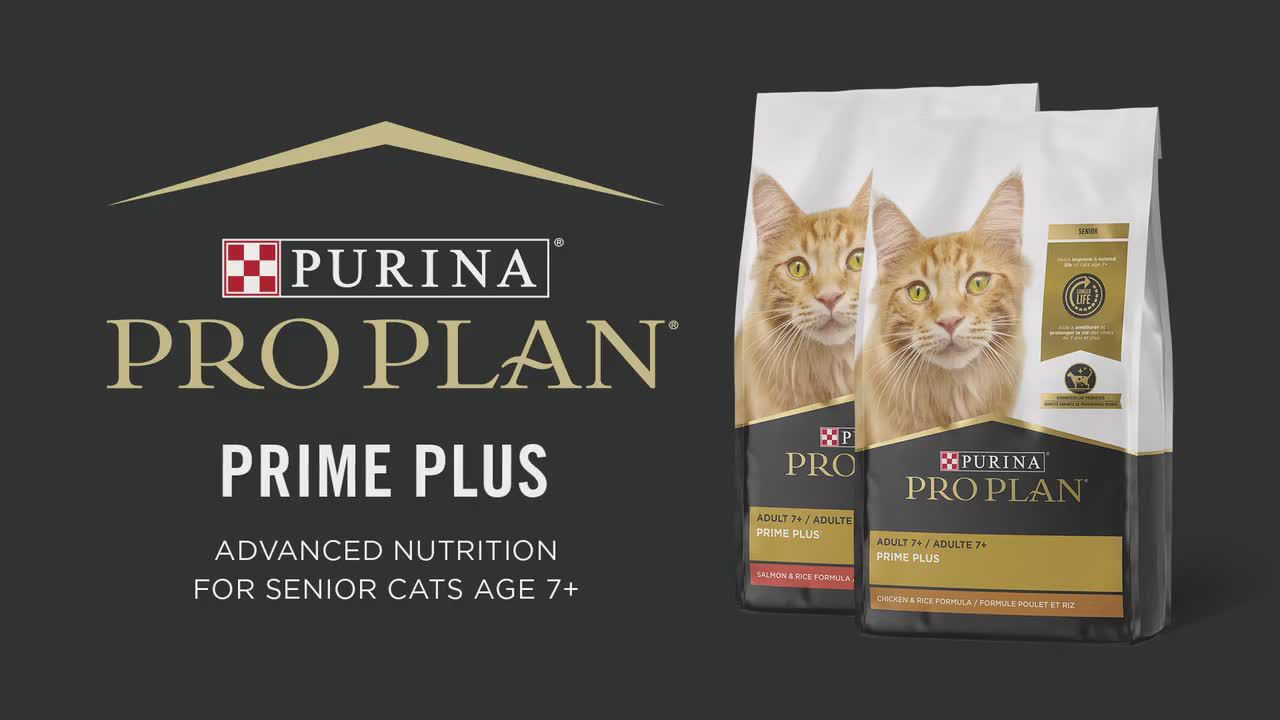 Purina Pro Plan Prime Plus Senior Dry Cat Food Antioxidants High Protein Chicken Rice