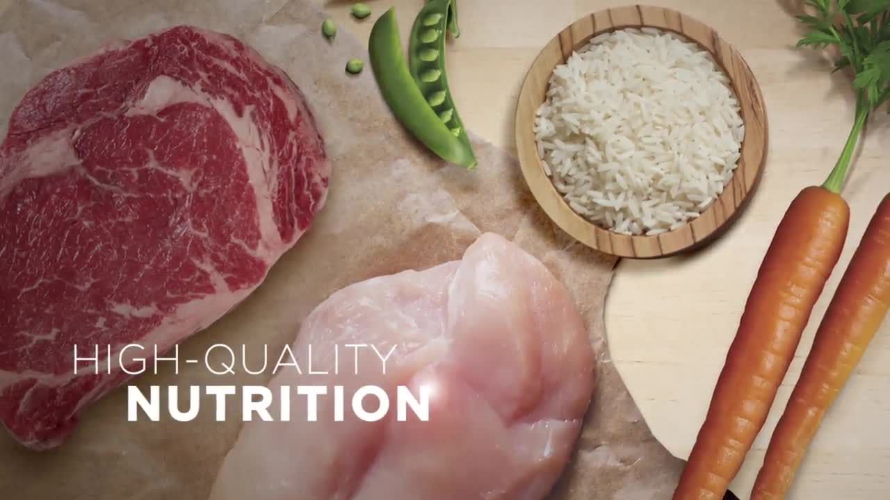 purina one true instinct grain free beef