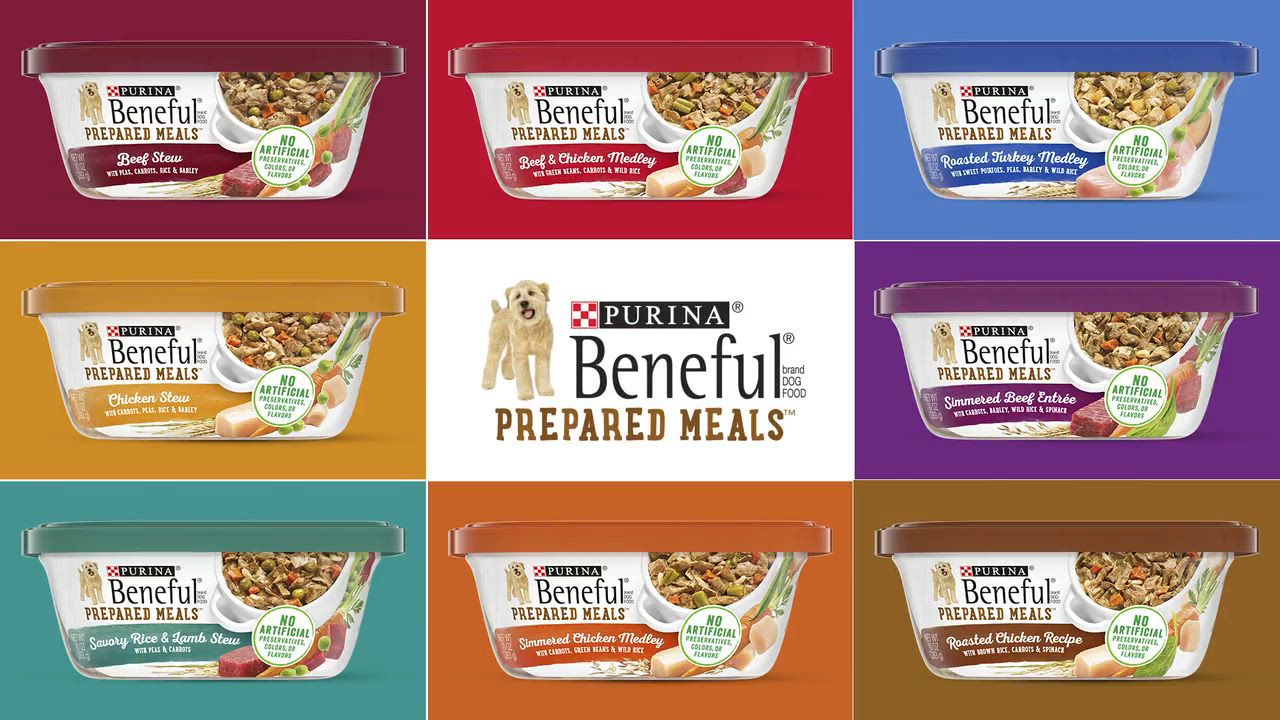 Purina beneful prepared meals review best sale