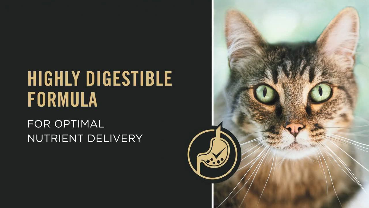 Purina One Urinary Tract Health Formula Adult Premium Dry Cat Food 7lbs Size 7 Lbs Dry Cat Food Cat Food Cat Food Brands