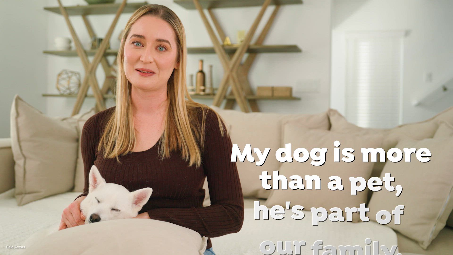 eye drops for dogs petsmart