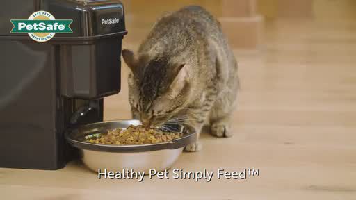 PetSafe Healthy Pet Simply Feed Automatic Feeder 1 Year Comprehensive Protection Plan