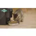 PetSafe® Healthy Pet Simply Feed Automatic Feeder - 1-Year Comprehensive Protection Plan video thumbnail 8