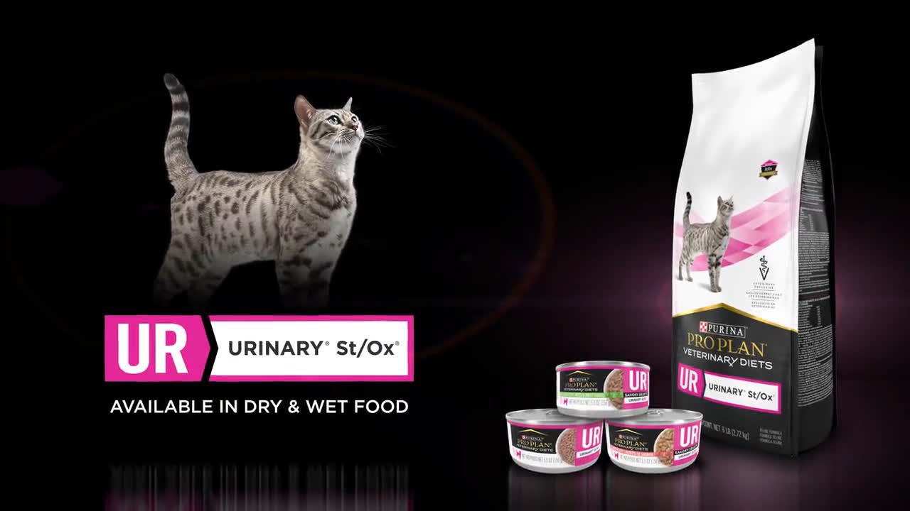 Purina urinary so cat food hot sale