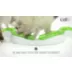 Catit® Senses 2.0 Play Circuit Cat Toy video thumbnail 6