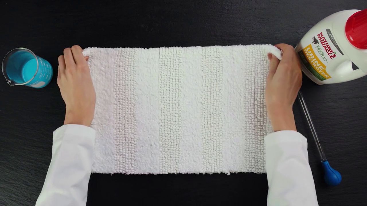 petsmart nature's miracle urine destroyer