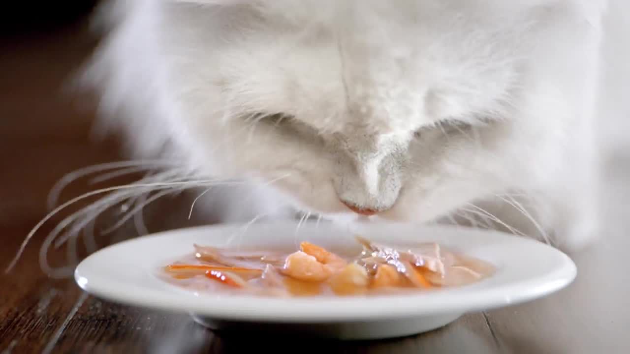 fancy feast broths nutritional value