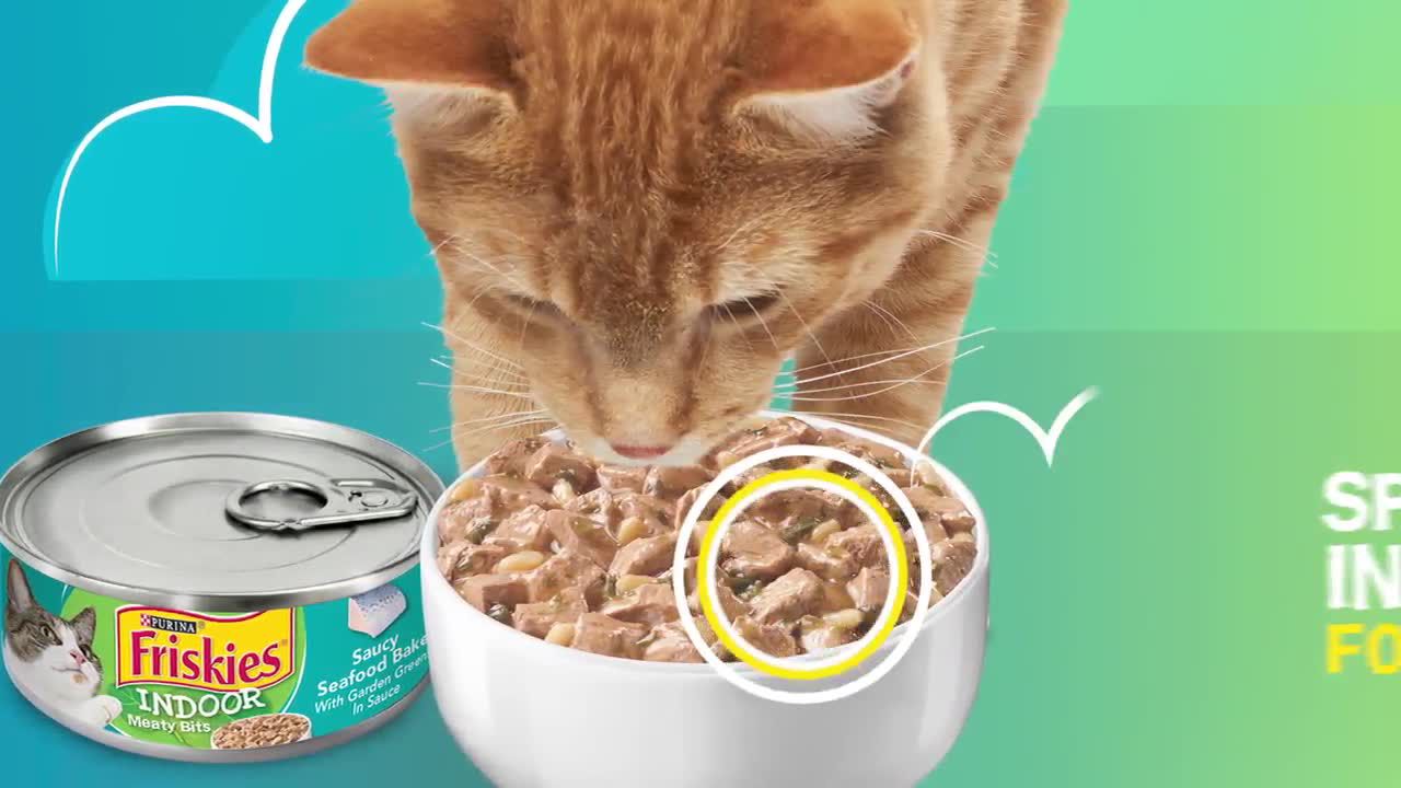 friskies indoor pate