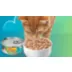 Friskies® Indoor Adult Cat Wet Food - Variety Pack, 24 CT, 132 OZ video thumbnail 9