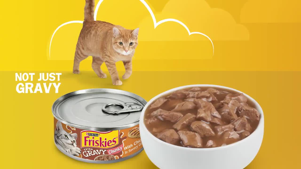 Purina Friskies Extra Gravy Adult Cat Wet Food Variety Pack 24 CT 132 OZ