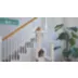 Armarkat 53-in Classic Faux Fleece Real Wood Cat Tree With Sisal Covered Scratching Post And Ladder, video thumbnail 8