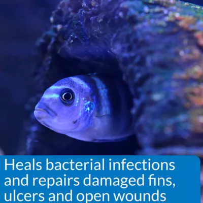 Product API® Melafix Fish Bacterial Infection Treatment