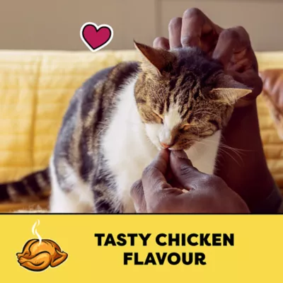 Product Temptations™ Classic Adult Cat Treats - Soft & Crunchy, Tasty Chicken