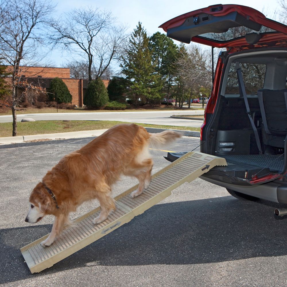 petsmart telescoping dog ramp