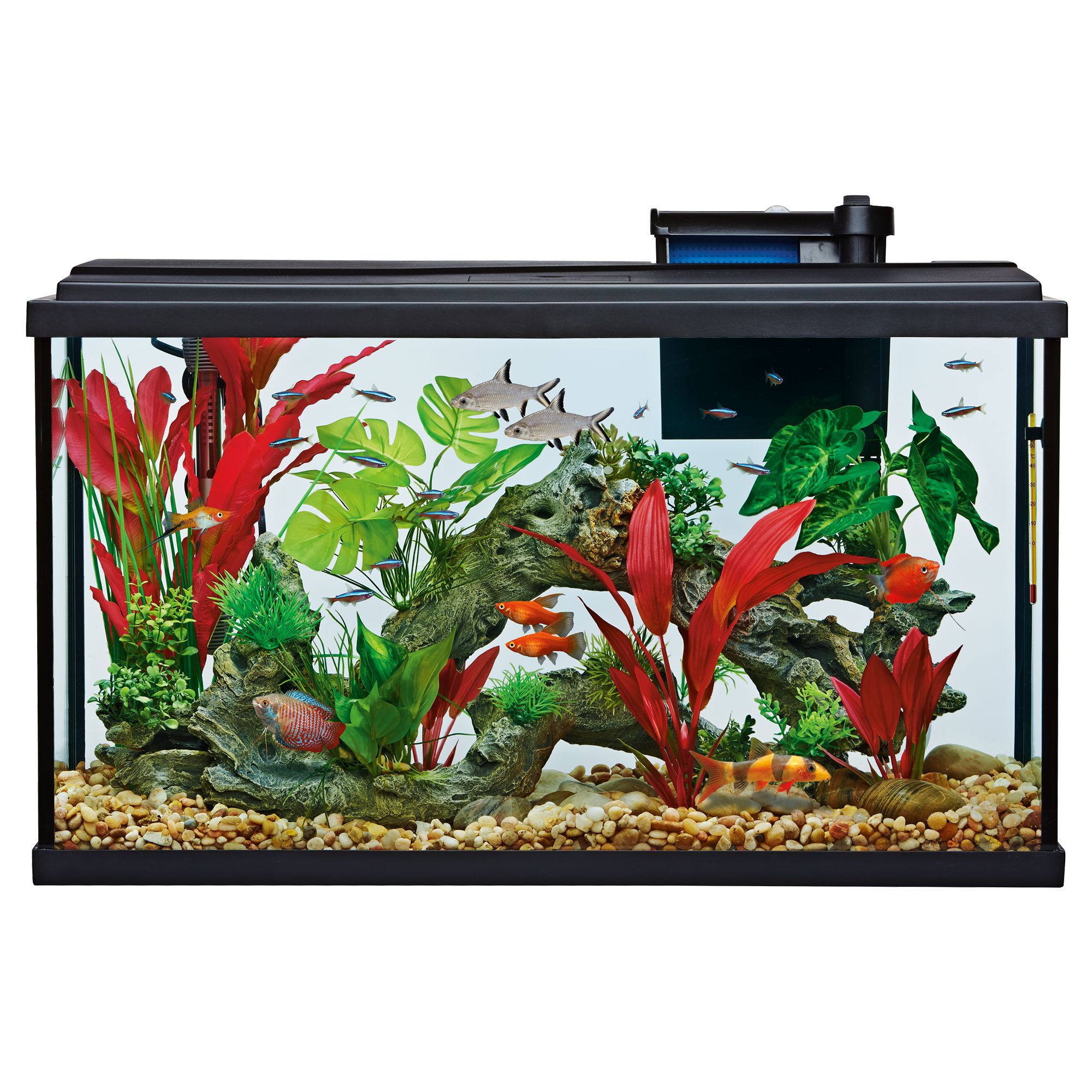 Fish Tanks & Aquariums | PetSmart