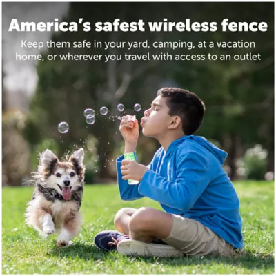 Product PetSafe® Wireless Pet Fence Containment Receiver Collar - Pets Over 5lb - Tone/Static