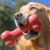 KONG® Goodie Bone™ Treat Dispensing Dog Toy image thumbnail 2