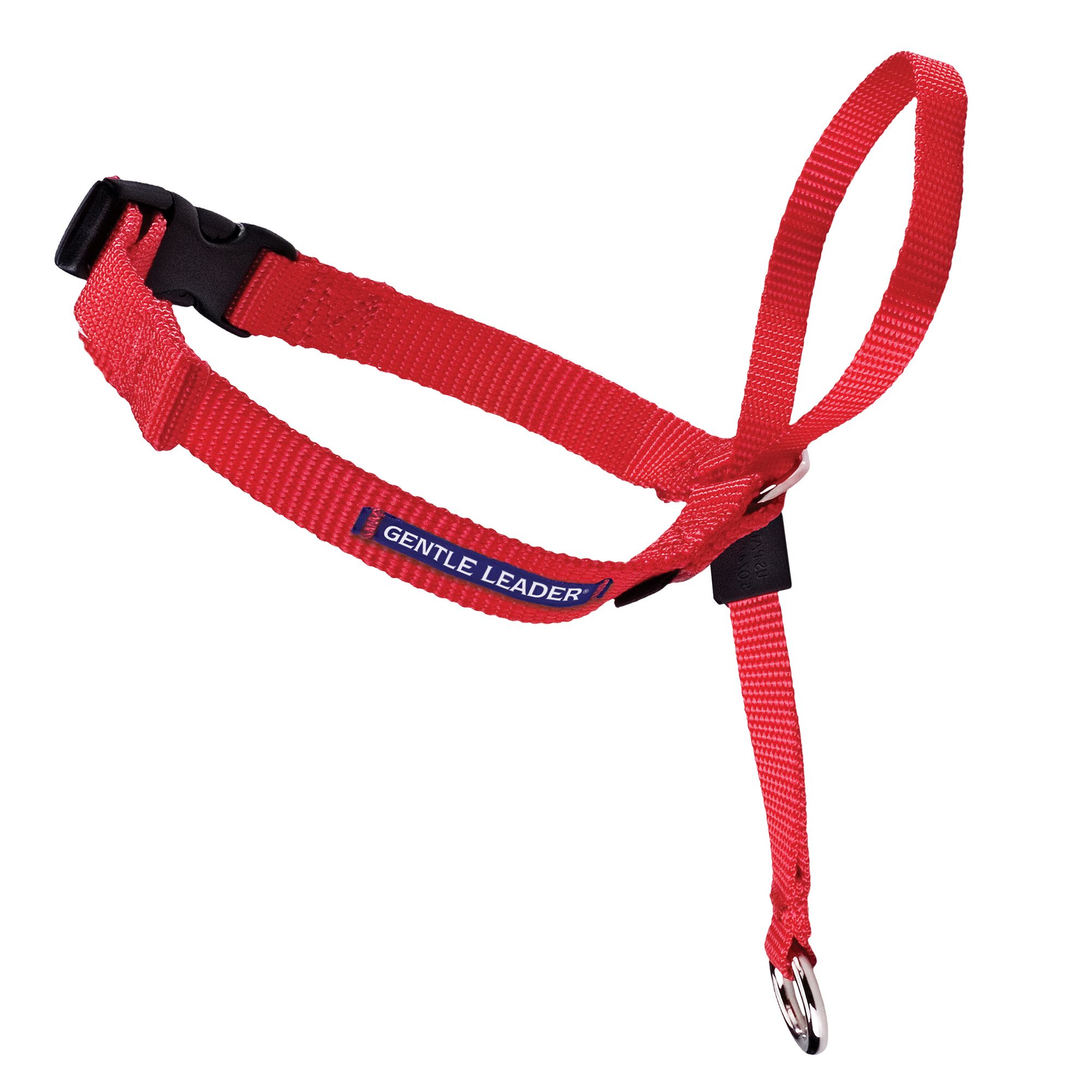 head collar petsmart