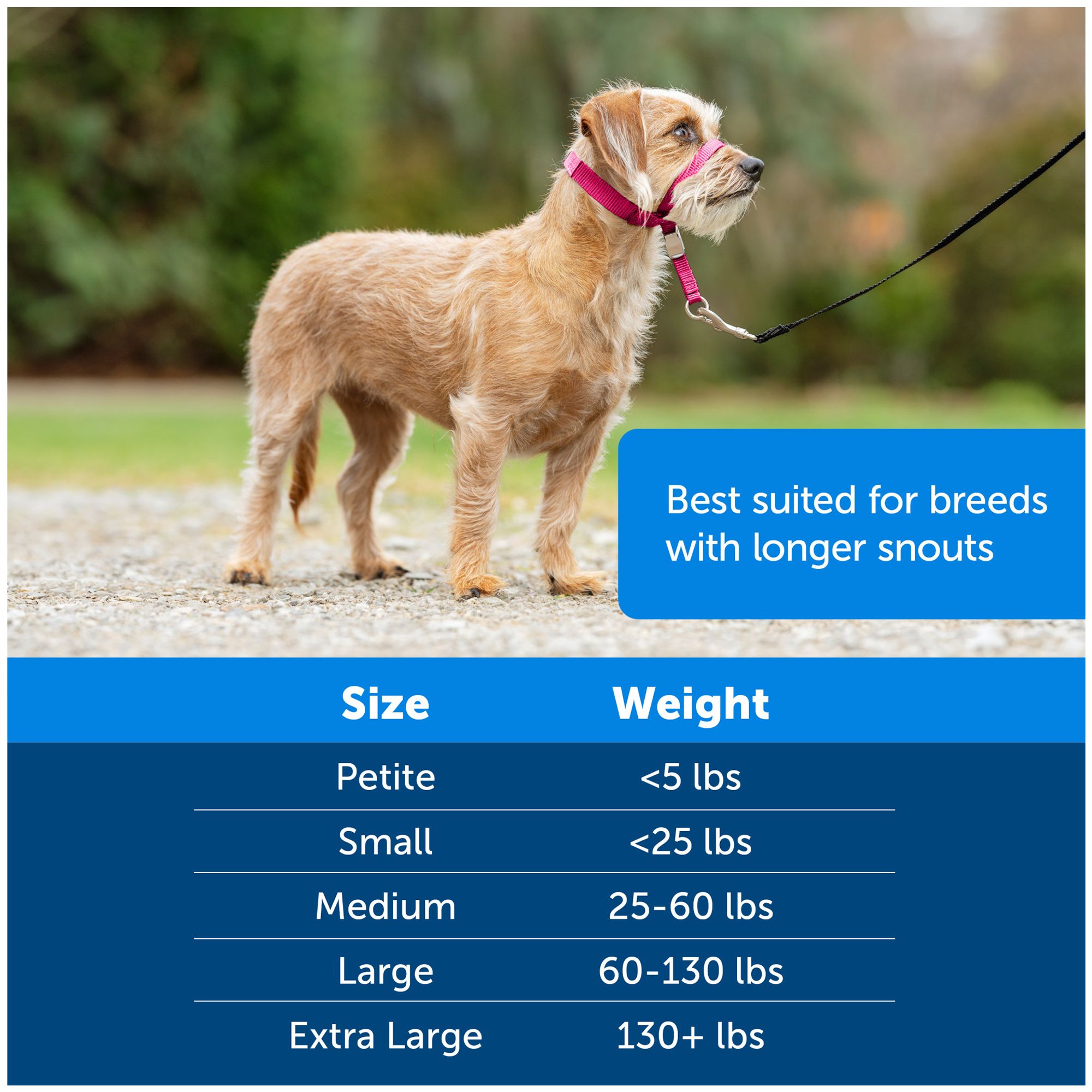 Petsmart gentle leader easy walk harness best sale