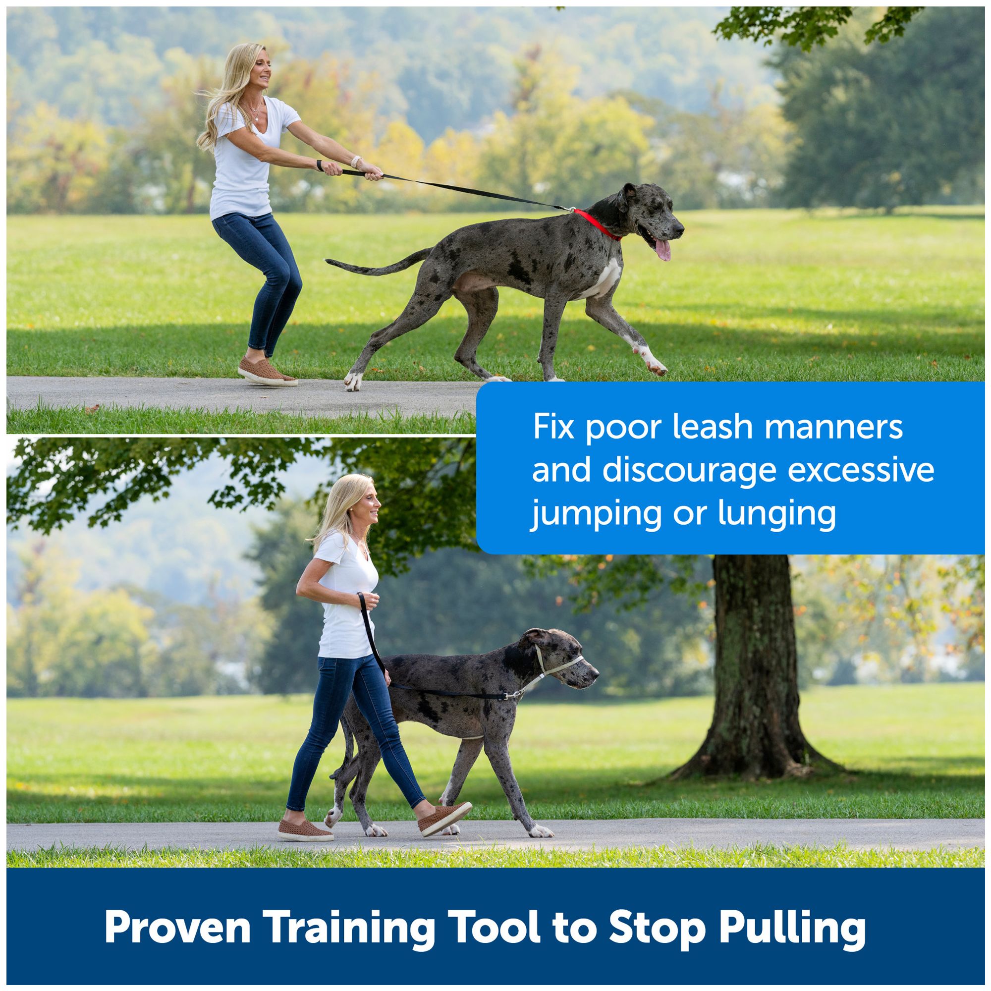 PetSafe Gentle Leader No Pull Dog Headcollar Helps You Regain Control PetSmart in Tustin CA