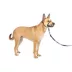 PetSafe® Gentle Leader No-Pull Dog Headcollar - Helps You Regain Control image thumbnail 7