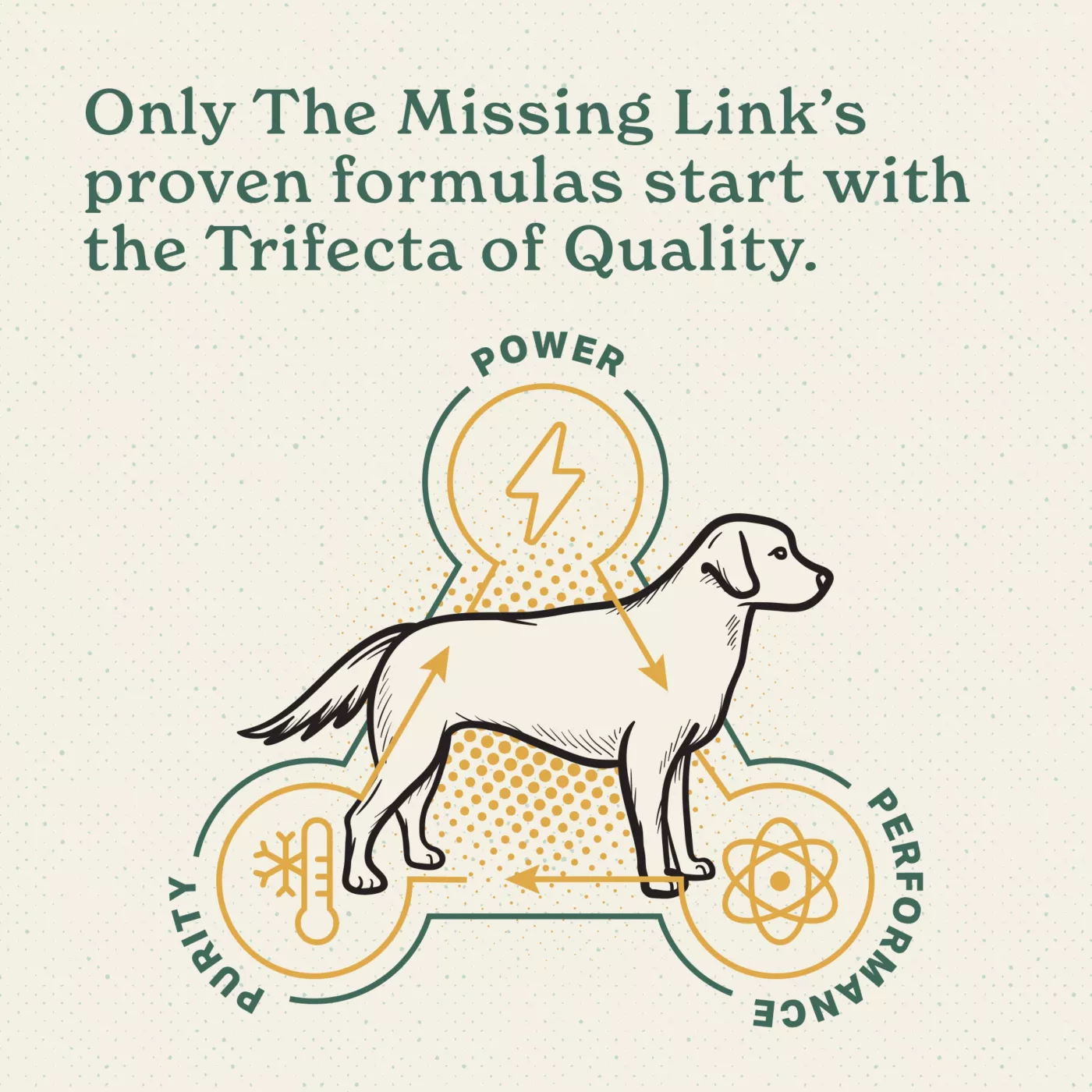 Missing link hip and joint best sale