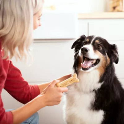 Product Milk-Bone Dog Treat All Ages - Original