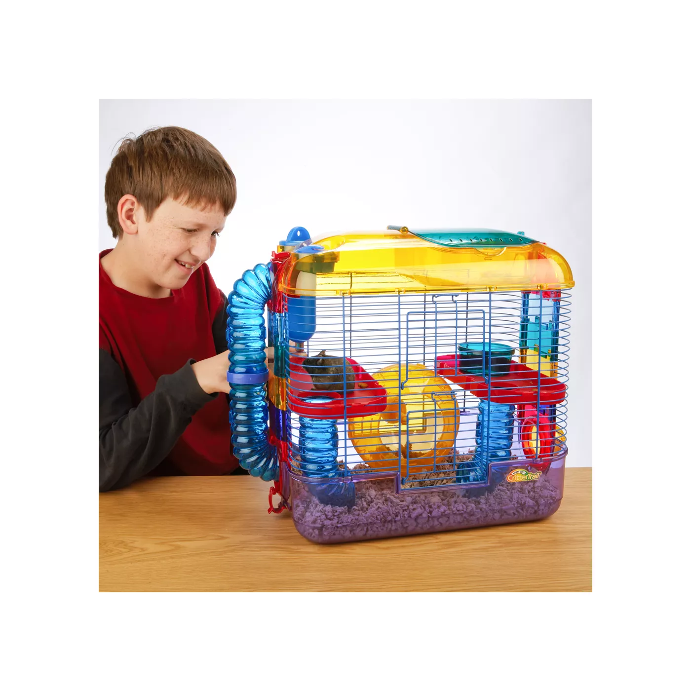 Hamster cages for two hamsters best sale