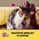 Product Temptations™ Classic Adult Cat Treats - Soft & Crunchy, Seafood Medley