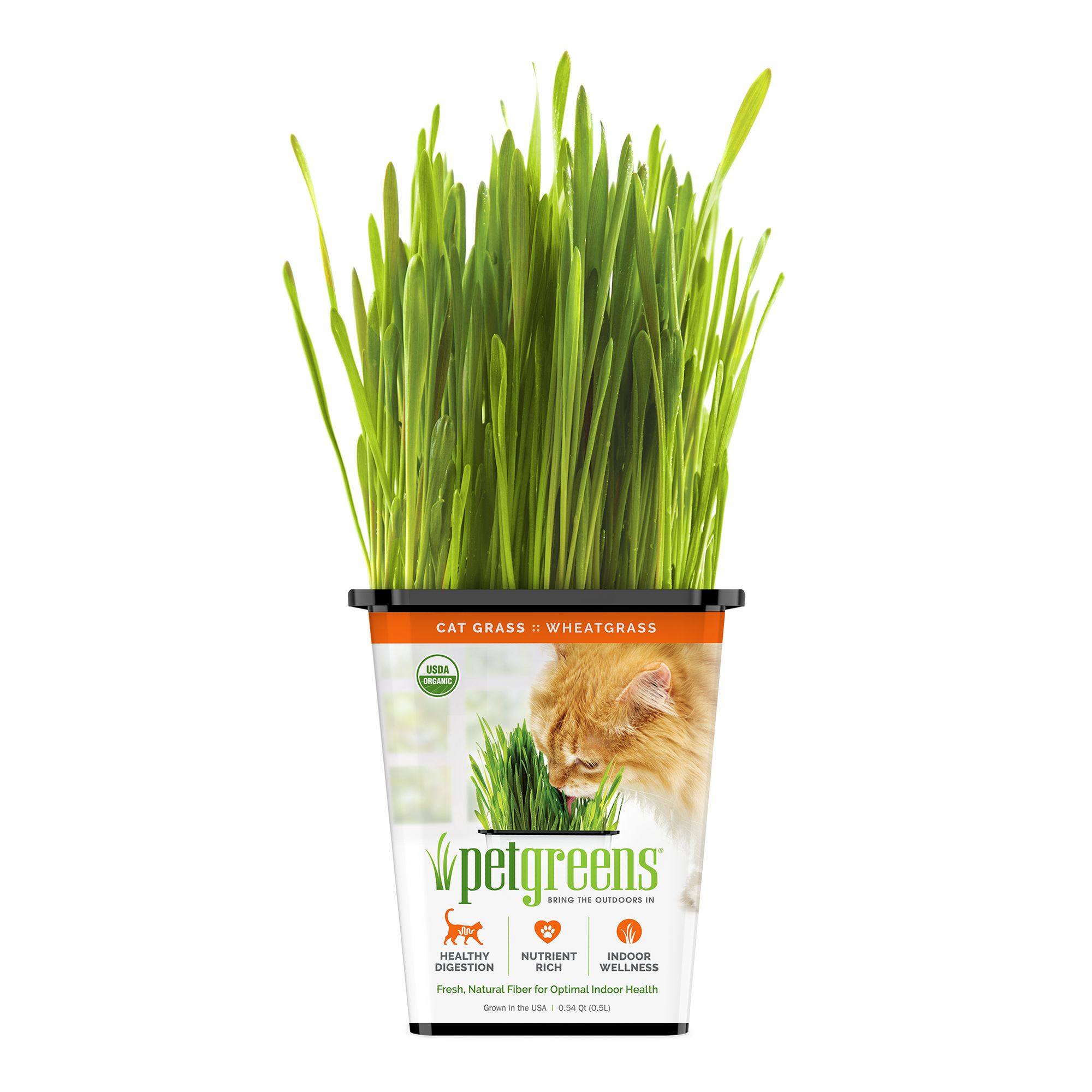 Pet Greens Wheatgrass Live Cat Grass