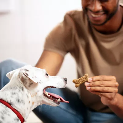 Product Milk-Bone Flavor Snacks Dog Treat All Ages - Sausage