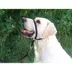 Gentle Leader® Dog Headcollar image thumbnail 2