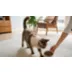 Instinct® Limited Ingredient Cat Food - Grain Free, Rabbit video thumbnail 11
