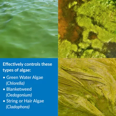 Product API® PondCare® Algaefix Pond Water Conditioner
