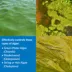 API® PondCare® Algaefix Pond Water Conditioner image thumbnail 3