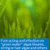 API® Algaefix Aquarium Algae Control image thumbnail 4
