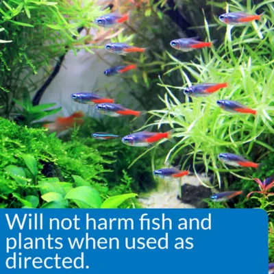 Product API® Algaefix Aquarium Algae Control