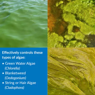 Product API® PondCare® Algaefix Pond Water Conditioner