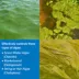 API® PondCare® Algaefix Pond Water Conditioner image thumbnail 3