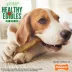 Nylabone® Healthy Edibles® Dog Treats - 2 Pack image thumbnail 5