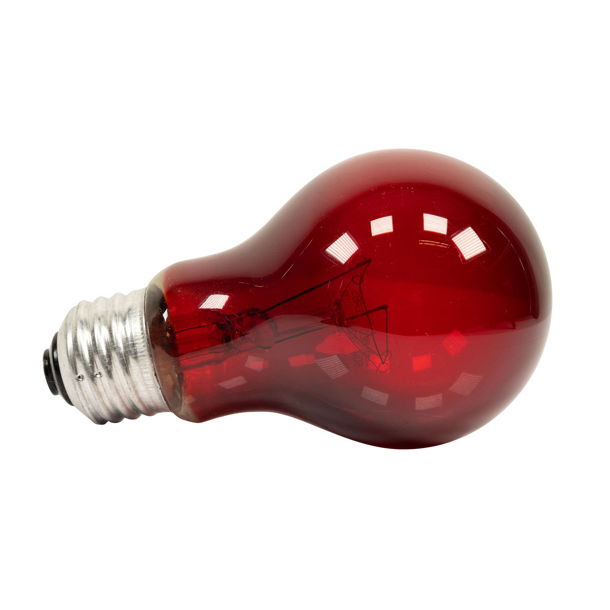 Zoo Med Nightlight Red Reptile Terrarium Bulb Night Heat Lamp for Terrariums - 60-100 watt - thumbnail 6