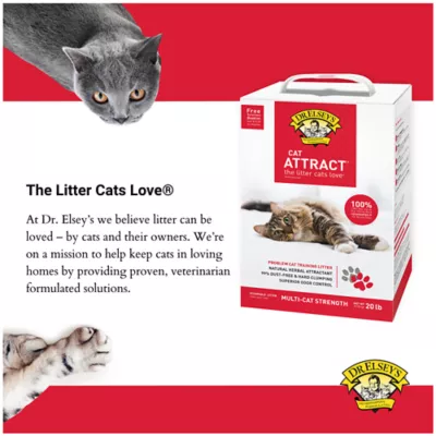 Product Dr. Elsey's Precious Cat Cat Attract Clumping Multi-Cat Clay Cat Litter - Low Dust