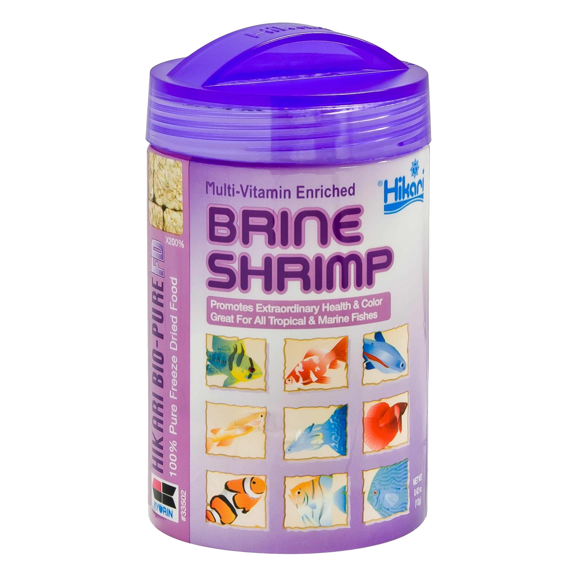 feeding brine shrimp to betta