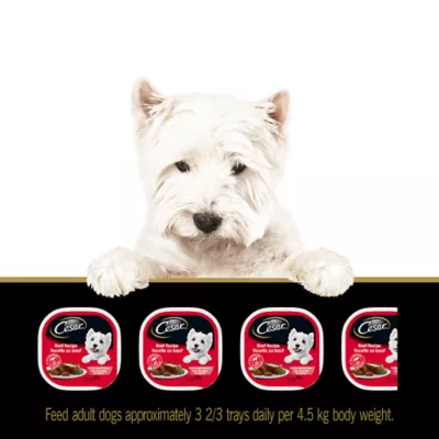 Product Cesar Classic Loaf In Sauce Adult Wet Dog Food Beef & Turkey Entrées Variety Pack, 12ct