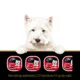 Product Cesar Classic Loaf In Sauce Adult Wet Dog Food Beef & Turkey Entrées Variety Pack, 12ct