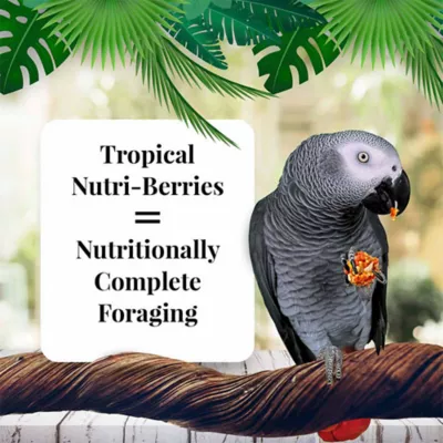 Product Lafeber's® Nutri-Berries Tropical Fruit Parrot Food