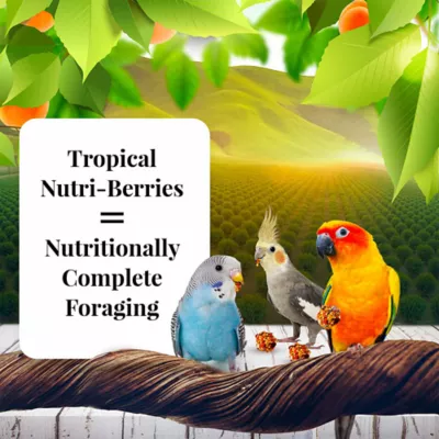 Product Lafeber's® Sunny Orchard Nutri-Berries Parakeet & Cockatiel Food