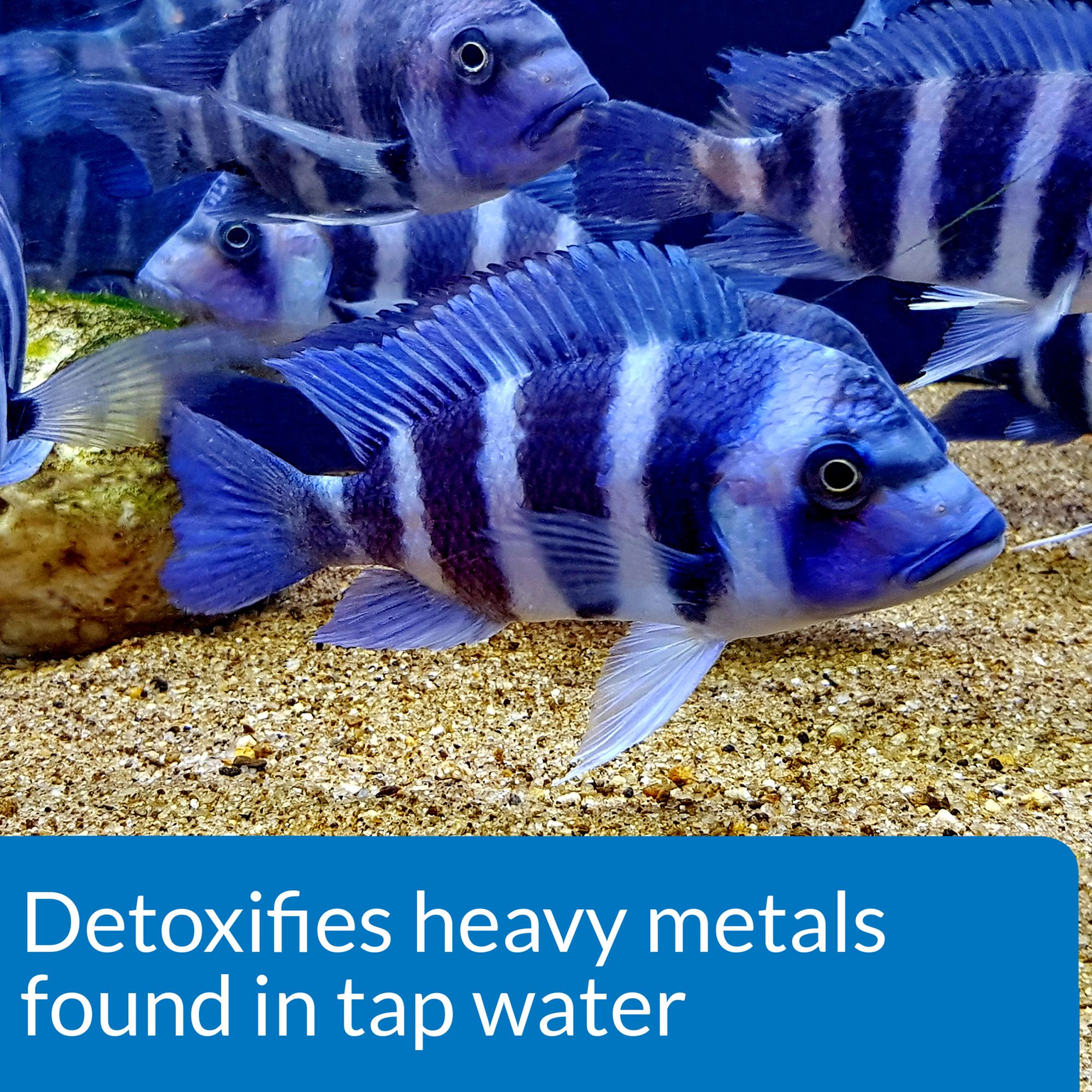 API® Tap Water Conditioner Super Strength Aquarium Dechlorinator for Fish Tanks - thumbnail 3